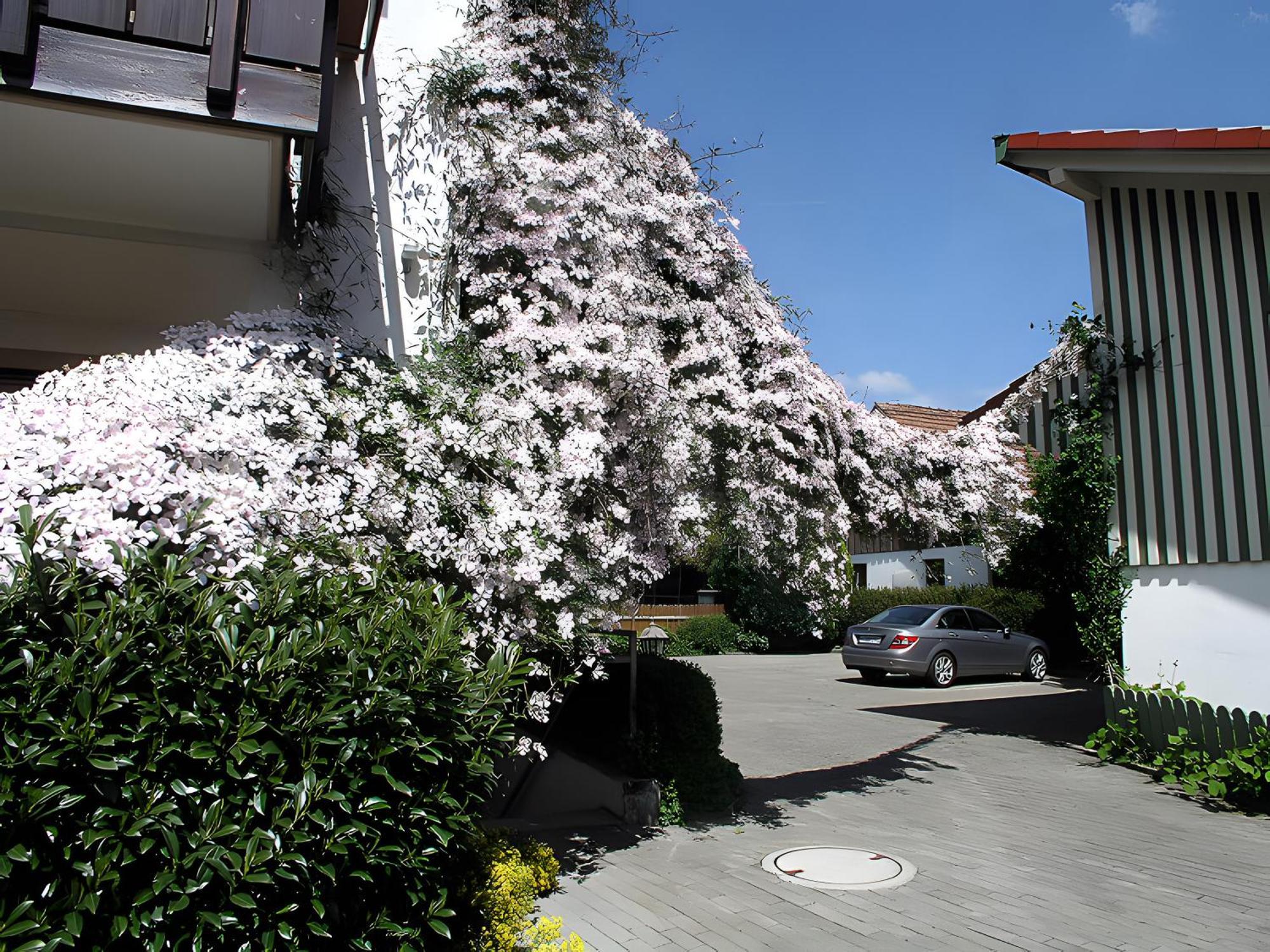 Gaestehaus Gutensohn Wasserburg Exterior photo
